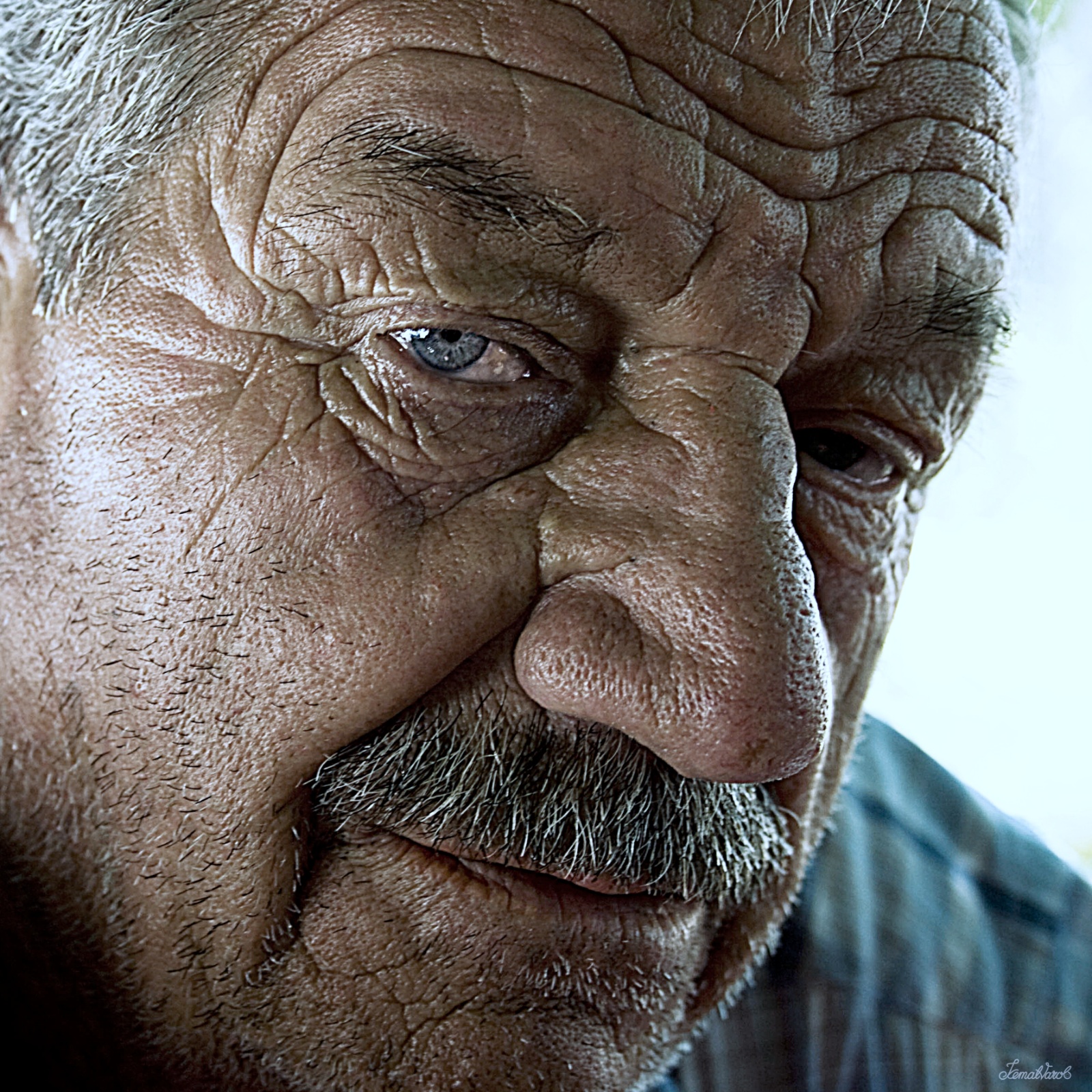 PORTRELER / PORTRAITS